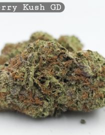 Greendoor Raspberry Kush_Bud_Flower_Weed_Cannabis-Grade AAA Cannabis_The-dope-warehouse