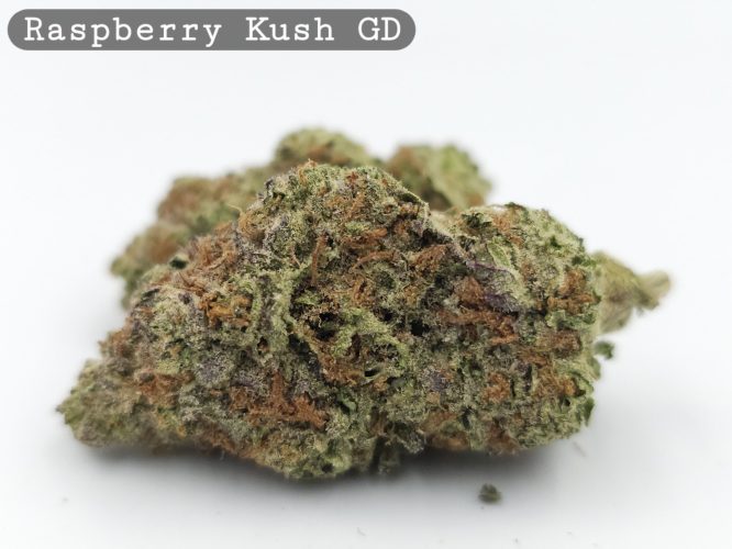 Greendoor Raspberry Kush_Bud_Flower_Weed_Cannabis-Grade AAA Cannabis_The-dope-warehouse