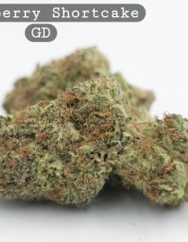 Greendoor Strawberry Shortcake_Bud_Flower_Weed_Cannabis-Grade AAA Cannabis_The-dope-warehouse