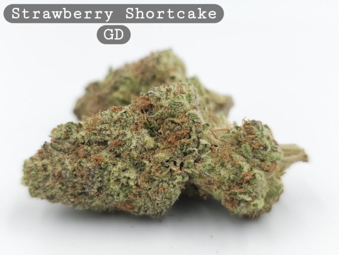 Greendoor Strawberry Shortcake_Bud_Flower_Weed_Cannabis-Grade AAA Cannabis_The-dope-warehouse