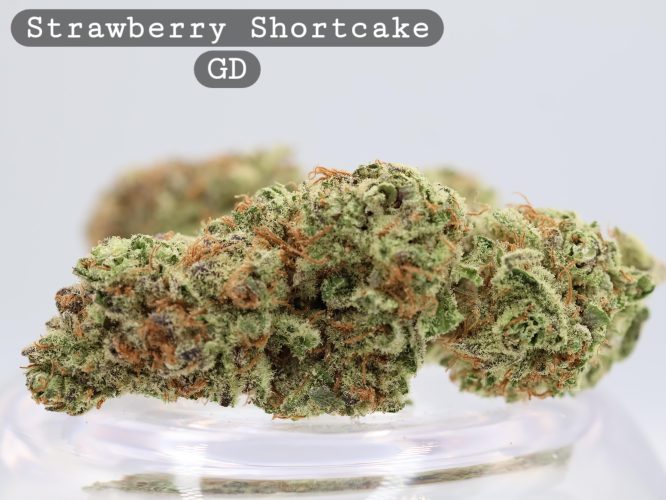 Greendoor Strawberry Shortcake_Cannabis Bud_premium Cannabis bud_The dope warehouse