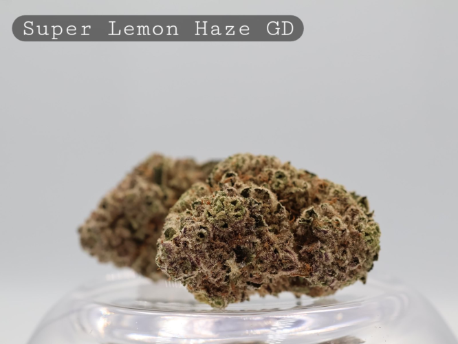 Greendoor Super Lemon Haze _AAA Flower_Greendoor Flower_Cannabis Bud_The Dope Warehouse