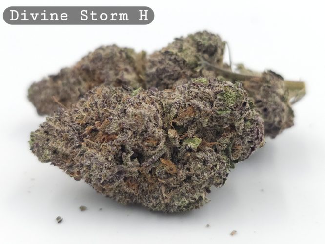 Indoor Divine Storm_Hyrdo Bud_Flower_Weed_Cannabis-Bud_The-dope-warehouse