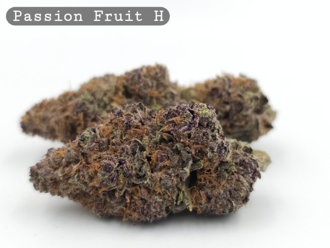 Indoor Passion Fruit_Hyrdo Bud_Flower_Weed_Cannabis-Bud_The-dope-warehouse