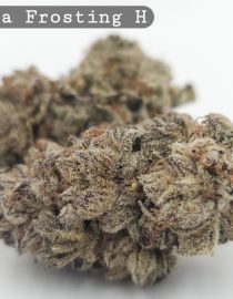 Indoor Vanilla Frosting_Hyrdo Bud_Flower_Weed_Cannabis-Bud_The-dope-warehouse