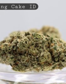 Indoor Wedding Cake_Indoor Flower_Hydro Bud_Indoor Cannabis_Indoor Weed_Flower_Bud_The Dope Warehouse