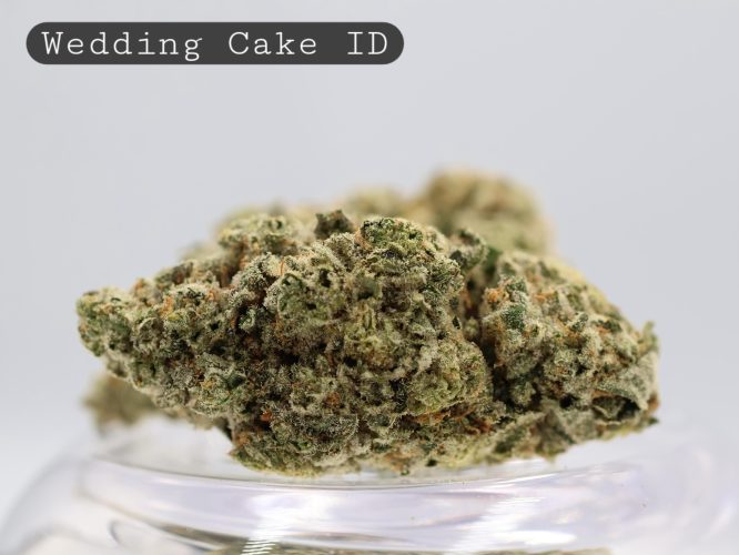 Indoor Wedding Cake_Indoor Flower_Hydro Bud_Indoor Cannabis_Indoor Weed_Flower_Bud_The Dope Warehouse