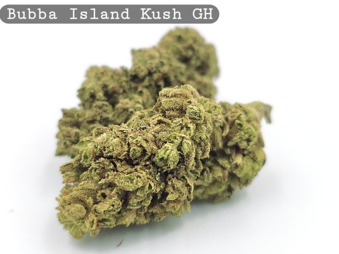 Greenhouse Bubba Island Kush, The Dope Warehouse, Cannabis, THC, Bud, Weed