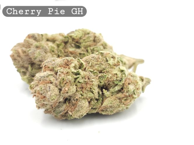 Greenhouse Cherry Pie, The Dope Warehouse, Cannabis, THC, Bud, Weed