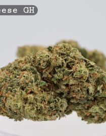 Greenhouse UK Cheese 2g _Cannabis Bud_weed_The dope warehouse