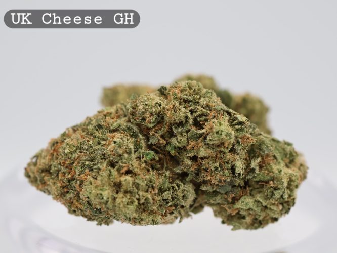 Greenhouse UK Cheese 2g _Cannabis Bud_weed_The dope warehouse