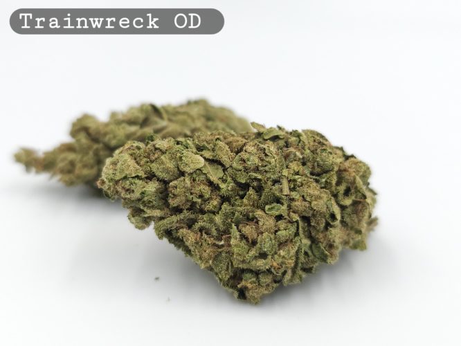 Outdoor Trainwreck_Cannabis Bud_weed_The dope warehouse