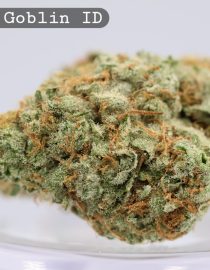 Indoor Green Goblin_Cannabis Bud_Hydro Cannabis_The dope warehouse