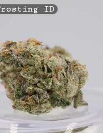 Indoor Cake Frosting_Cannabis Bud_Hydro Cannabis_The dope warehouse