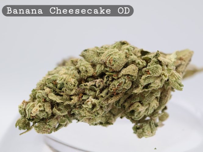 Outdoor Banana Cheesecake _Cannabis Bud_weed_The dope warehouse