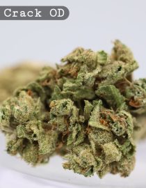 Outdoor Green Crack _Cannabis Bud_weed_The dope warehouse