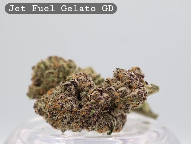 Greendoor Jet Fuel Gelato_Cannabis Bud_premium Cannabis bud_The dope warehouse