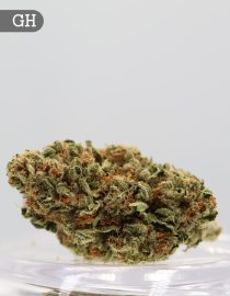 Greenhouse Apollo per 2g _Cannabis Bud_weed_The dope warehouse