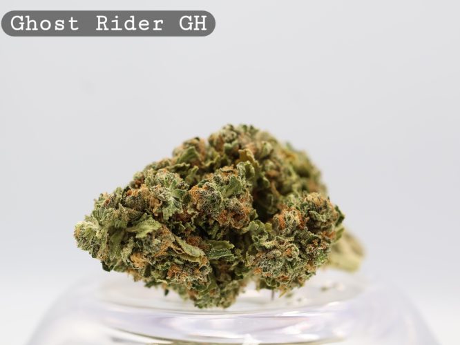 Greenhouse Ghost Rider OG per 2g _Cannabis Bud_weed_The dope warehouse