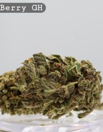 Greenhouse Mendo Berry _Cannabis Bud_weed_The dope warehouse