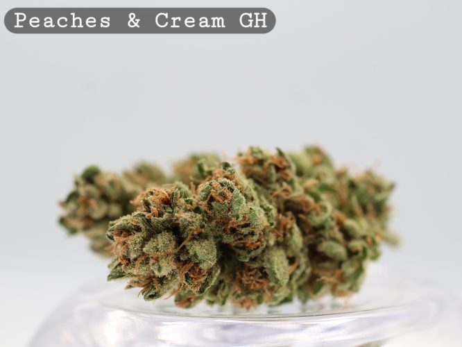 Greenhouse Peaches and Cream 2g _Cannabis Bud_weed_The dope warehouse