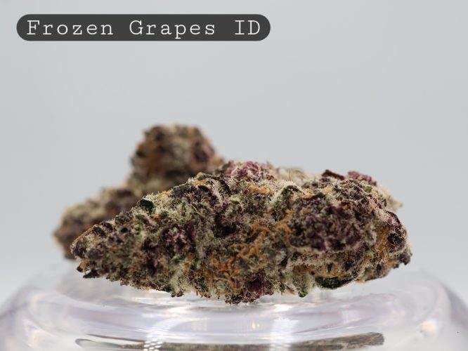 Indoor Frozen Grapes_Hydro Cannbis Flower_Cannabis Bud_Indoor Weed_The Dope Warehouse