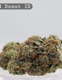 Indoor Glazed Donut_Cannabis Bud_Hydro Cannabis_The dope warehouse