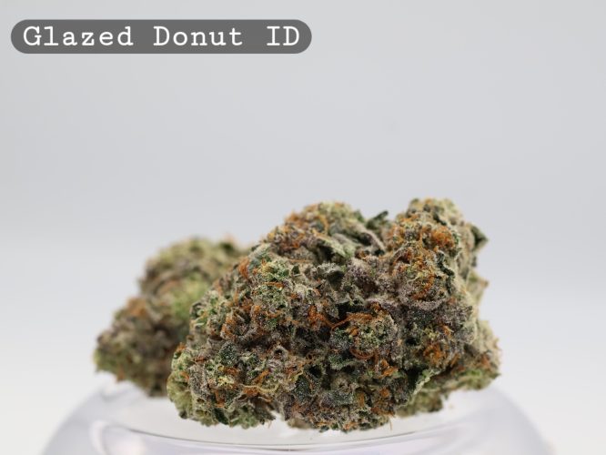 Indoor Glazed Donut_Cannabis Bud_Hydro Cannabis_The dope warehouse