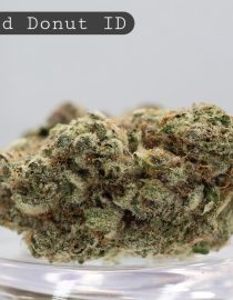 Indoor Glazed Donut_Indoor Flower_Hydro Bud_Indoor Cannabis_Indoor Weed_Flower_Bud_The Dope Warehouse