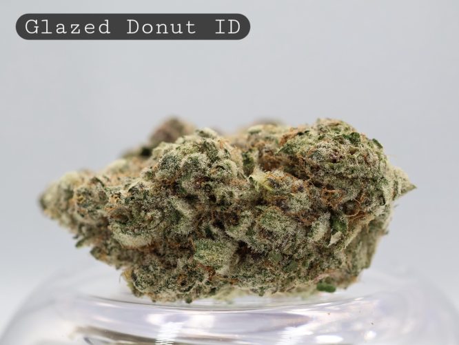 Indoor Glazed Donut_Indoor Flower_Hydro Bud_Indoor Cannabis_Indoor Weed_Flower_Bud_The Dope Warehouse