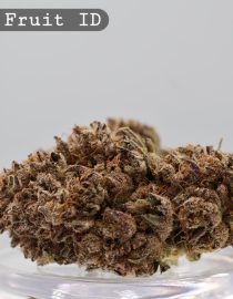 Indoor Juicy Fruit_Cannabis Bud_Hydro Cannabis_The dope warehouse