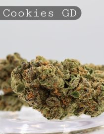 Greendoor Dr. Cookies_Greendoor AAA_Cannabis Flower_The Dope Warehouse