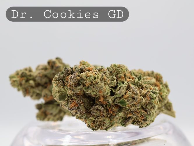 Greendoor Dr. Cookies_Greendoor AAA_Cannabis Flower_The Dope Warehouse