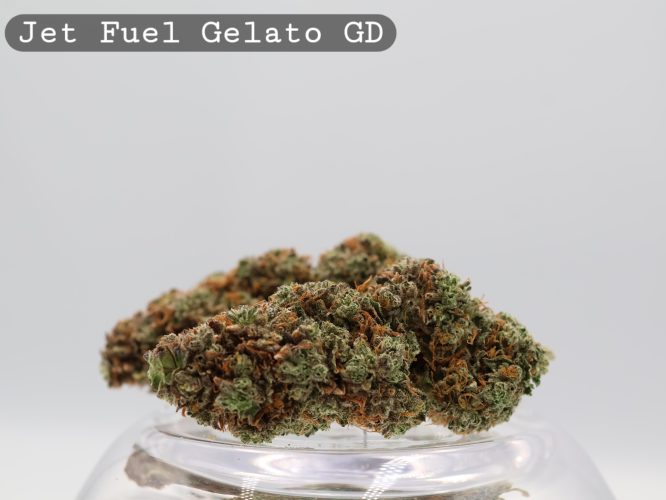 Greendoor Jet Fuel Gelato_Cannabis Flower_Weed_The dope warehouse