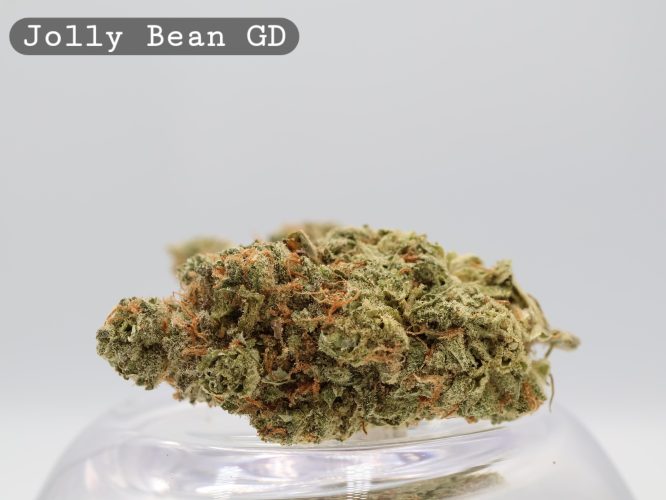 Greendoor Jolly Bean pg_Greendoor Cannabis Flower_Greendoor AAA Bud_The Dope Warehouse