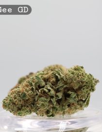 Greendoor King Gee_Greendoor Cannabis Flower_THC Bud_The dope Warehouse