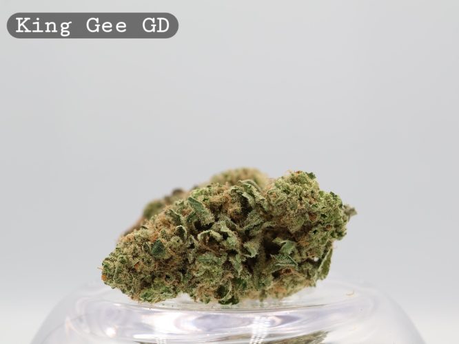 Greendoor King Gee_Greendoor Cannabis Flower_THC Bud_The dope Warehouse