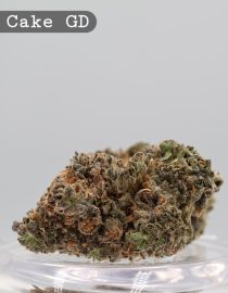 Greendoor Lemon Cake_Cannabis Bud_Buy Weed_Greendoor_The dope warehouse