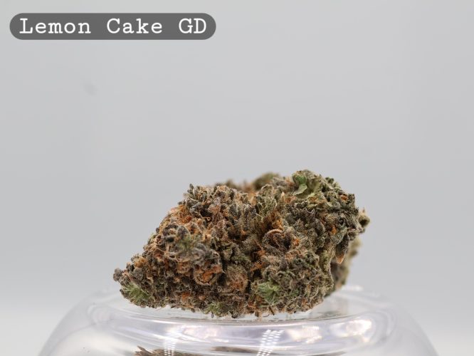 Greendoor Lemon Cake_Cannabis Bud_Buy Weed_Greendoor_The dope warehouse