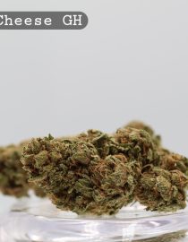 Greenhouse Blue Cheese 2g_Greenhouse Cannabis Flower_Greenhouse Bud_The Dope Warehouse