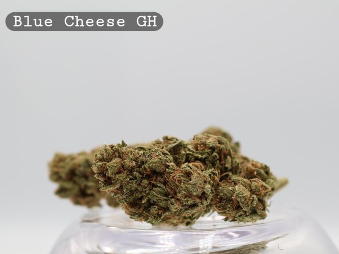 Greenhouse Blue Cheese 2g_Greenhouse Cannabis Flower_Greenhouse Bud_The Dope Warehouse