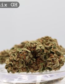 Greenhouse Cake Mix per 2g_Greenhouse Cannabis Flower_Greenhouse Bud_The Dope Warehouse