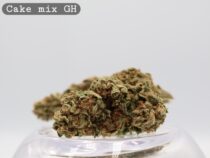 Greenhouse Cake Mix per 2g_Greenhouse Cannabis Flower_Greenhouse Bud_The Dope Warehouse - The Dope Warehouse Greenhouse Cake Mix per 2g_Greenhouse Cannabis Flower_Greenhouse Bud_The Dope Warehouse