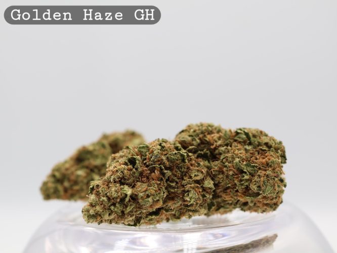 Greenhouse Golden Haze per 2g_Greenhouse Cannabis Flower_Greenhouse Bud_The Dope Warehouse