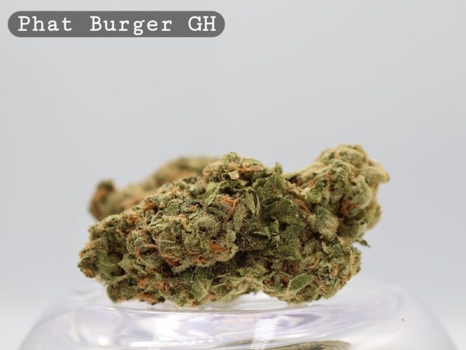 Greenhouse Phat Burger per 2g_Cannabis Bud_Cannabis Flower_The Dope Warehouse