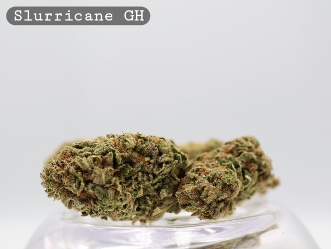 Greenhouse Slurricane per 2g_Greenhouse Cannabis Flower_Greenhouse Bud_The Dope Warehouse