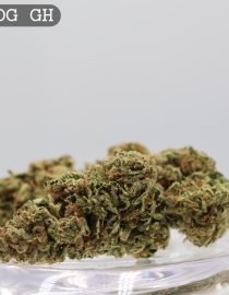 Greenhouse Sour OG per 2g_Greenhouse Cannabis Flower_Greenhouse Bud_The Dope Warehouse