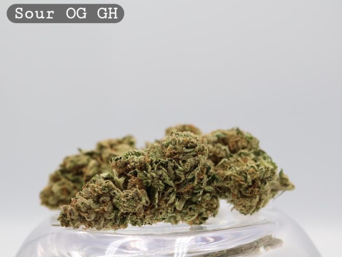 Greenhouse Sour OG per 2g_Greenhouse Cannabis Flower_Greenhouse Bud_The Dope Warehouse