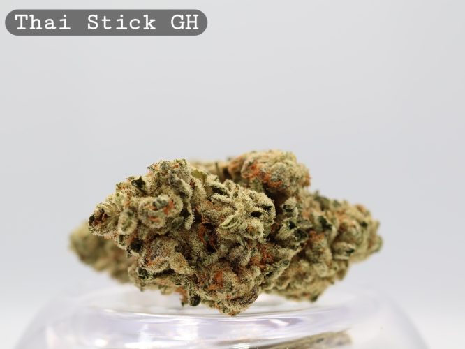 Greenhouse Thai Stick per 2g_Greenhouse Cannabis Flower_Greenhouse Bud_The Dope Warehouse