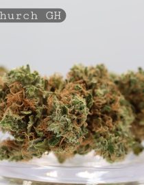 Greenhouse The Church per 2g_Greenhouse Bud_Cannabis Flower_Bud_The Dope Warehouse